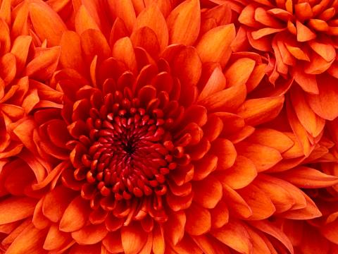 test image